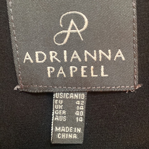 Adrianna Papell Sheer Overlay Dress - Picture 10 of 10